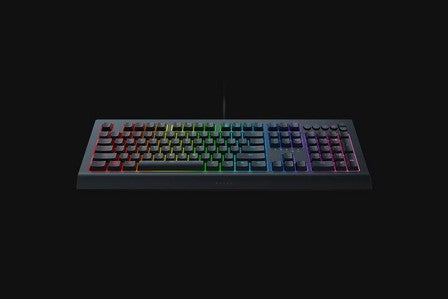 Razer Cynosa V2 Gaming Keyboard